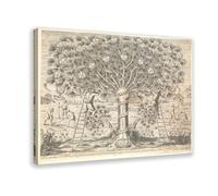 Impression sur toile de l'église catholique antique - Grand cèdre - Décoration murale pour maison, école, bureau - 60 x 90 cm