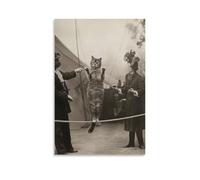 Impression sur toile de peintures à thème chat cirque vintage - Affiche d'œuvre d'art pour salon, chambre à coucher, salle de bain, bureau - 50 x 75 cm