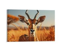 Impression sur toile de scène d'automne Impala masculin dans un coucher de soleil doré encadrée pour chambre à coucher, salon, cuisine, champ d'automne, peinture amusante, cadeaux de Thanksgiving, 28