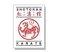 Impression sur Toile Jujitsu Karaté Kendo Taekwondo Japon Arts Martiaux Affiche Imprime Toile Peinture Mur Art Photo pour Salon Décoration De La Maison Cadeau, 70X100 Cm sans Cadre