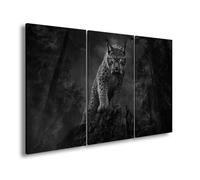 Impression sur toile Luchs debout sur un rocher dans la forêt Noir et blanc 120 x 80 cm