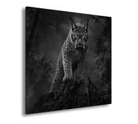 Impression sur toile Luchs debout sur un rocher dans la forêt Noir et blanc 70 x 70 cm