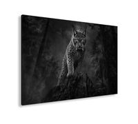 Impression sur toile Luchs debout sur un rocher dans la forêt Noir et blanc 90 x 60 cm
