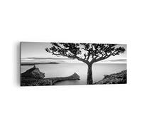 Impression sur Toile Moderne 140x50 cm Botanique Noir et Blanc - 4297