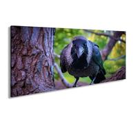 Impression sur toile Motif corbeau curieux regardant vigilant de l'ombre verte Panorama 100 x 50 cm XXL Impression d'art sur châssis Décoration murale pour salon