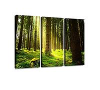 Impression sur toile Motif lumière du soleil dans la forêt verte Aubes et images imprimées sur toile Décoration murale moderne Motif unique étiré et encadré 3 pièces