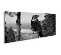 Impression sur toile - Motif : regard vigilant - Corbeau en tant que gardien silencieux de la nature - 120 x 60 cm - Effet : noir et blanc XXL - Impression d'art sur châssis - Décoration de salon