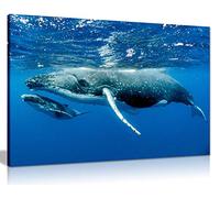 Impression sur toile murale Baleine et veau à bosse (61 x 40,6 cm)