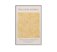 Impression sur toile Orange Larkspur de William Morris - Décoration murale moderne - 40 x 60 cm