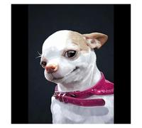 Impression Sur Toile Peinture Impressions Sur Toile Représentant Un Mème Drôle De Chien, Canard Et Chat,Images D'animaux Mignons, Décoration Murale Amusante Pour La Maison(P,50x70cm)