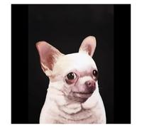 Impression Sur Toile Peinture Impressions Sur Toile Représentant Un Mème Drôle De Chien, Canard Et Chat,Images D'animaux Mignons, Décoration Murale Amusante Pour La Maison(N,50x70cm)