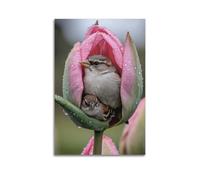 Impression sur toile représentant deux petits oiseaux cachés dans une tulipe rosée - Décoration murale moderne - 40 x 60 cm - Style sans cadre