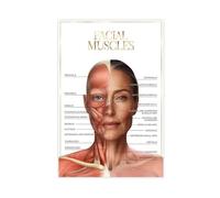 Impression sur toile représentant l'anatomie des muscles du visage - Décoration murale pour salon, chambre à coucher - 50 x 75 cm