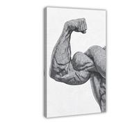 Impression sur toile représentant l'anatomie des muscles - Noir et blanc - Décoration pour chambre à coucher, bureau, chambre à coucher (40 x 60 cm)