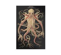 Impression sur toile représentant l'anatomie des mystères de Cthulhu - Décoration murale pour salon, chambre à coucher - 50 x 75 cm