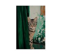 Impression sur toile représentant le chat derrière les rideaux - Décoration murale pour salon, chambre à coucher - 20 x 30 cm