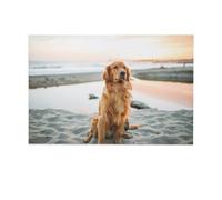 Impression sur toile représentant un chien Golden Retriever, plage, mer - Décoration murale sans cadre pour chambre à coucher, salon, bureau, dortoir, 20 x 30 cm