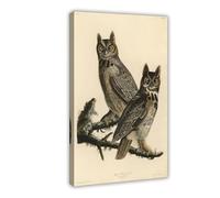 Impression sur toile représentant un hibou à cornes et oiseaux d'Amérique par John James Audubon pour chambre d'adolescent (60 x 90 cm)