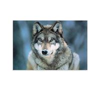 Impression sur toile représentant un loup gris, visage d'animal sauvage, portrait de la nature, poster décoratif sur toile, affiche d'art moderne pour chambre à coucher (40 x 60 cm)
