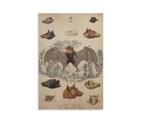 Impression sur toile style vintage chauve-souris gothique Halloween Lexique rétro antique 40 x 60 cm