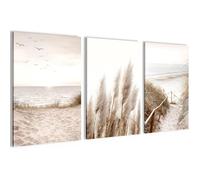 Impression sur Toile Tableaux Boho Pampasgras Plage Vintage - Avec cadre - Salon Chambre Décoration Murale 30x40cmx3pcs
