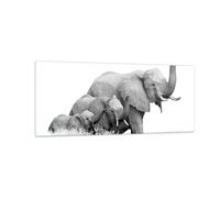 Impression sur Verre 100x40cm Tableaux Image Éléphants Famille Noir Et Blanc