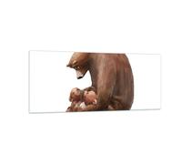 Impression sur Verre 100x40cm Tableaux Image Ours Ours En Peluche Pour Enfants