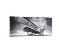 Impression sur Verre 100x40cm Tableaux Image Photo Avion An-2 Noir Et Blanc