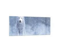 Impression sur Verre 100x40cm Tableaux Image Photo Blanc Loup Neige Decoration