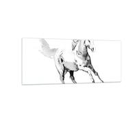 Impression sur Verre 100x40cm Tableaux Image Photo Cheval Galop Des Animaux