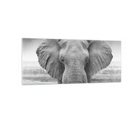 Impression sur Verre 100x40cm Tableaux Image Photo Éléphant Afrique Des Animaux