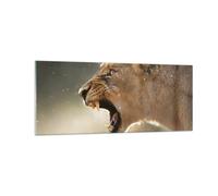 Impression sur Verre 100x40cm Tableaux Image Photo Lion Lionne Crocs Decoration