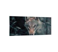 Impression sur Verre 100x40cm Tableaux Image Photo Loup Forêt Prédateur