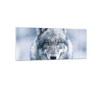 Impression sur Verre 100x40cm Tableaux Image Photo Loup Prédateur Wildness