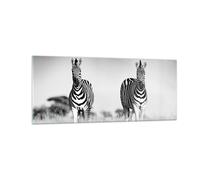 Impression sur Verre 100x40cm Tableaux Image Zèbres Photographie Noir Et Blanc