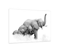 Impression sur Verre 100x70cm Tableaux Image Éléphants Famille Noir Et Blanc