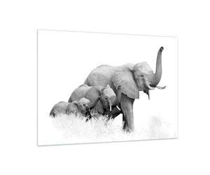 Impression sur Verre 100x70cm Tableaux Image Éléphants Famille Noir Et Blanc