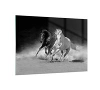Impression sur Verre 100x70cm Tableaux Image Photo Andalouse Chevaux Galop