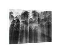Impression sur Verre 100x70cm Tableaux Image Photo Arbres Dans Brouillard