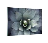Impression sur Verre 100x70cm Tableaux Image Photo Bleu Feuilles Agave