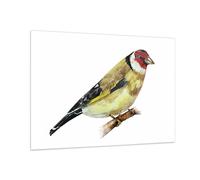 Impression sur Verre 100x70cm Tableaux Image Photo Chardonneret Oiseau Aquarelle