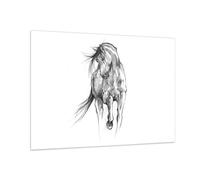 Impression sur Verre 100x70cm Tableaux Image Photo Cheval Galop Des Animaux