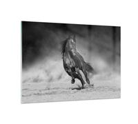 Impression sur Verre 100x70cm Tableaux Image Photo Cheval Galop Dynamique