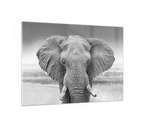 Impression sur Verre 100x70cm Tableaux Image Photo Éléphant Afrique Des Animaux