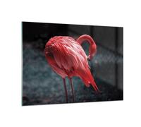 Impression sur Verre 100x70cm Tableaux Image Photo Flamant Rose Rose Oiseau