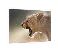 Impression sur Verre 100x70cm Tableaux Image Photo Lion Lionne Crocs Decoration