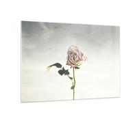 Impression sur Verre 100x70cm Tableaux Image Photo Rose Oiseaux Ciel Decoration