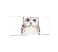 Impression sur Verre 120x50cm Tableaux Chouette Chouette Hulotte Graphiques