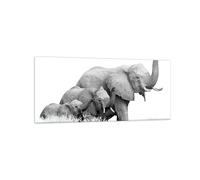 Impression sur Verre 120x50cm Tableaux Image Éléphants Famille Noir Et Blanc