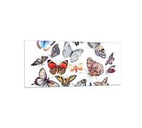 Impression sur Verre 120x50cm Tableaux Image Papillons illustration ailes